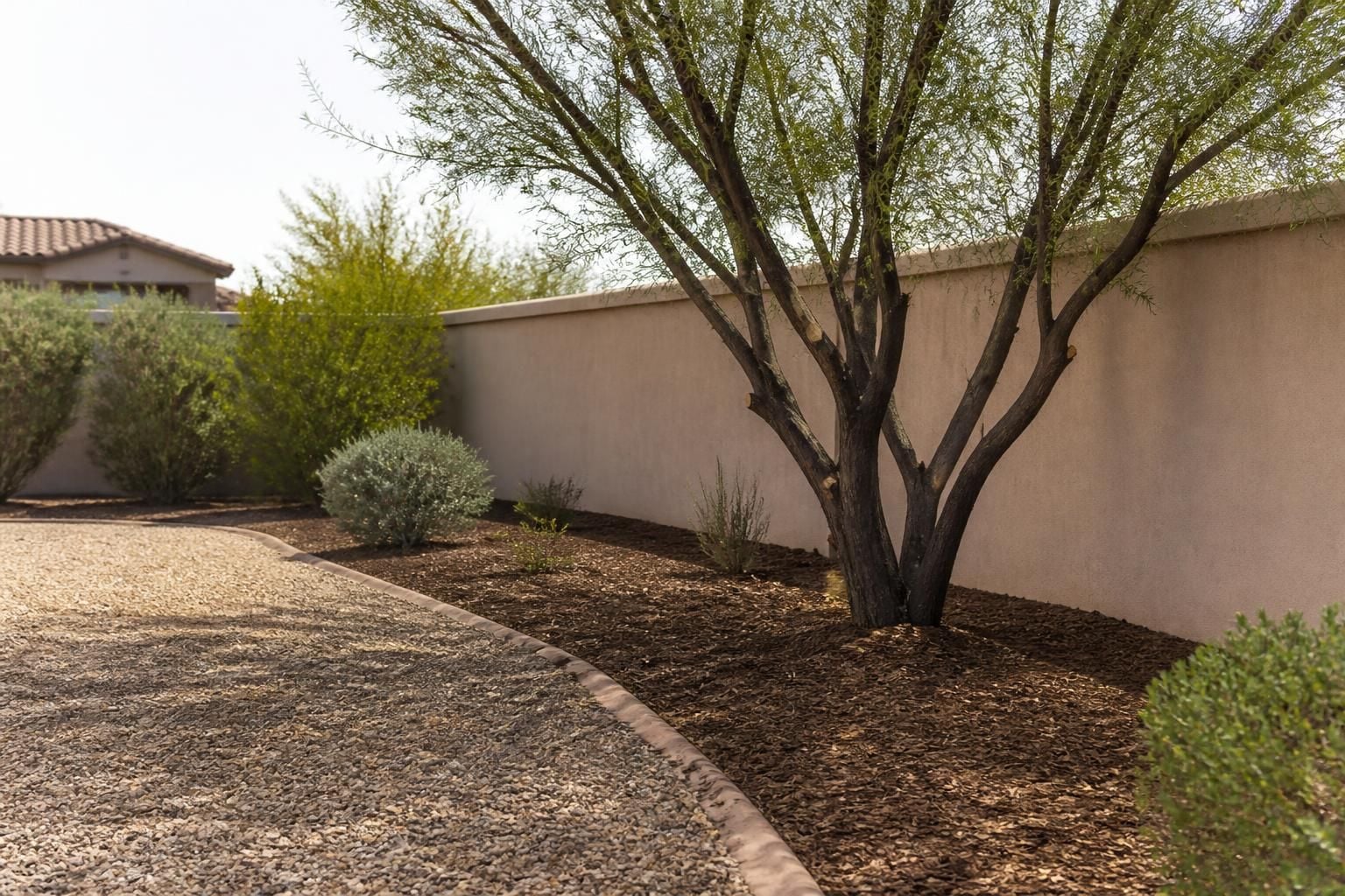 Desert Sun Tree Service work detail