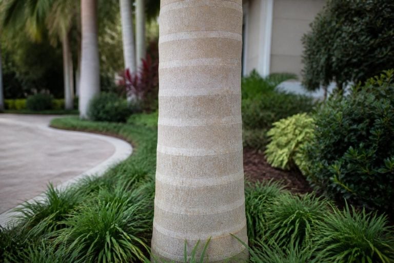 Palm Tree Skinning